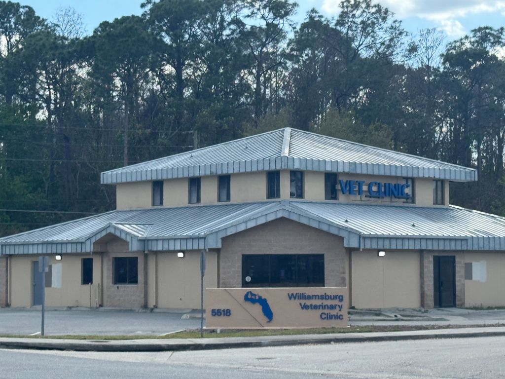 Williamsburg Veterinary Clinic wide shot after sandblasting — full building with bare metal roof, ready for primer and repaint